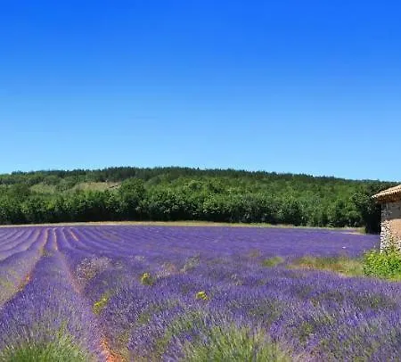 Nos Jours Heureux Barjac (Gard)